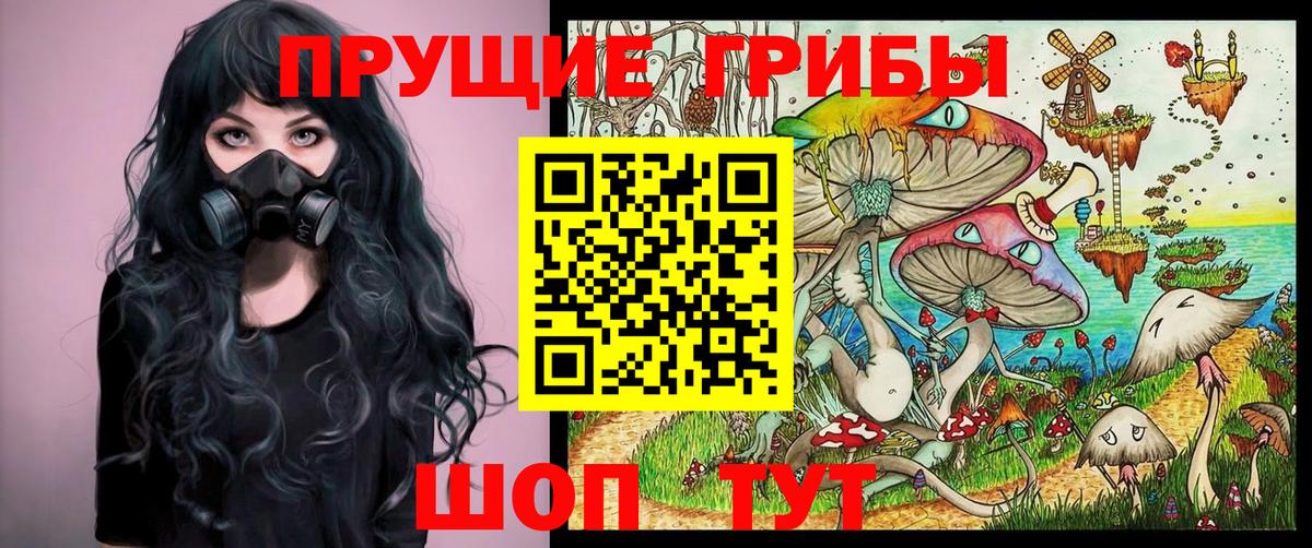 Галлюциногенные грибы Cubensis Миллерово